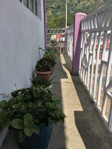 Nala Rympei Homestay Near Hotspring