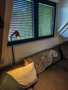 Cosy apartment with garden