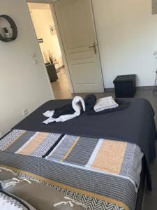 Appartements Appartement les 3 horloges : photos des chambres