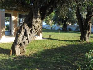 Barbati Beach Holiday Apartment Corfu Greece