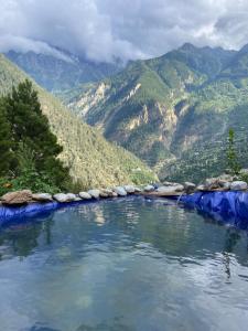 Raldang Himalayan homestay & farm stay