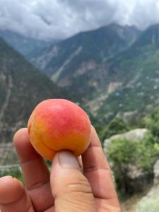 Raldang Himalayan homestay & farm stay