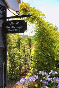 Somers Bed and Breakfast