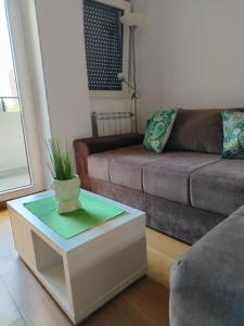 APARTMAN ANA