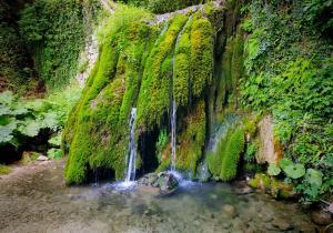 La Casa nel Borgo - Licenza