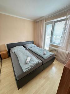 Apartmán Športovcov