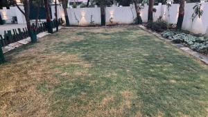 Sareen Cottage