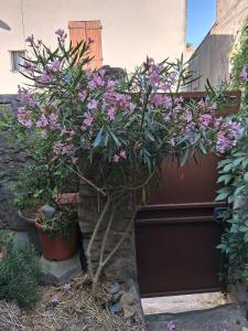 Maisons de vacances - Atelier - : photos des chambres