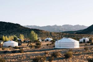 Peaceful Stargazing Yurt on a Glamping Site near Joshua Tree National Park, California