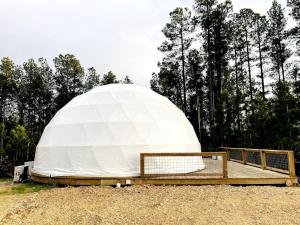 Spacious Dome with Lofted Interior and Furnished Deck in Kentucky