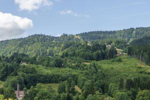 Maisons de vacances La Bonne Idee - Gite familial vue montagne : photos des chambres