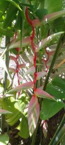 Mountain Green Villa