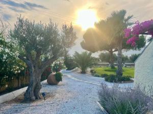 Villa Loretta 1 with pool, jacuzzi and garden