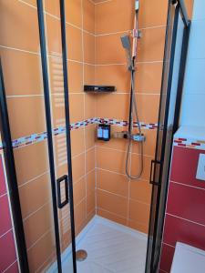 Appartements Logement L-Olivier TREVOUX climatise : photos des chambres
