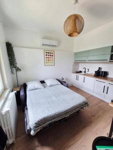 Appartements Logement L-Olivier TREVOUX climatise : photos des chambres