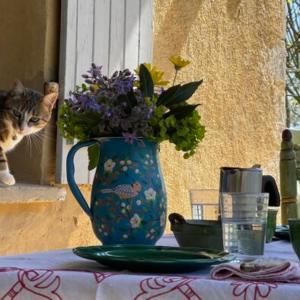Maisons de vacances Lexis Retreats : photos des chambres