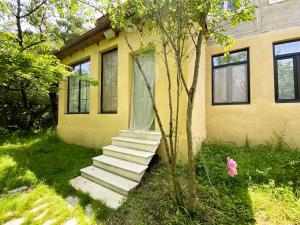 Wonderwood Borjomi Provencal