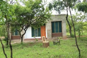 Double G safaris and Camp Mikumi