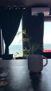 Funky Breeze by the Sea