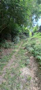 ViaDowinaGardens