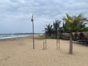 The Tasty Tuna Cabana