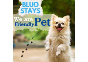 BluO 3BHK - Greater Kailash Lift Balcony Parking