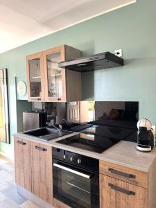 Appartements Studio confortable et calme au millieu des vignes : photos des chambres
