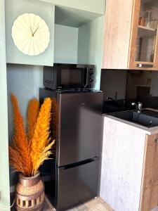 Appartements Studio confortable et calme au millieu des vignes : photos des chambres