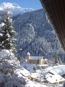 Chalets Chalet La Becquetta : photos des chambres
