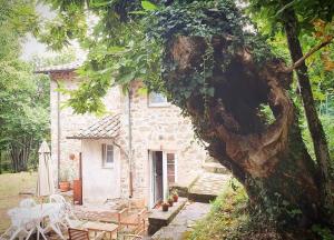 Vrijstaand vakantiehuis La Piccigliana - 6 personen