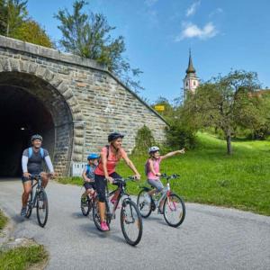 F95 AQUALUNA KAMP NATURA PODČETRTEK swimming card not included 