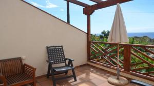 Apt. Heliconia Nº 6