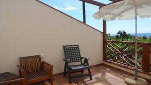 Apt. Heliconia Nº 6