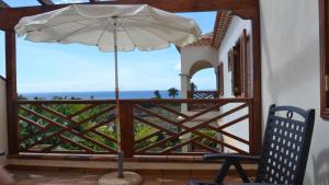 Apt. Heliconia Nº 6