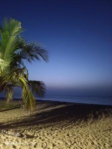 The Tasty Tuna Cabana