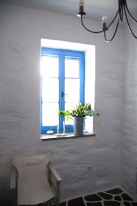 Exquisite estate, serene environment