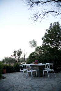 Exquisite estate, serene environment