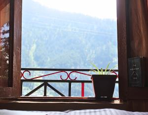 Trisha Home-Stay, Balsari