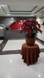 Wisma Davinci Sabrina