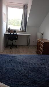 Wakacje na 4 lapy