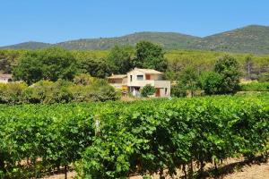 Maisons de vacances Maison des Vignes Swimming pool and charm in Lauris : photos des chambres