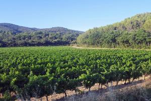Maisons de vacances Maison des Vignes Swimming pool and charm in Lauris : photos des chambres