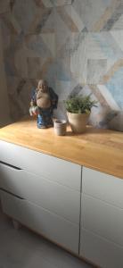 Mieszkanko przy Starym Rynku