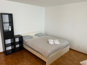 Large Flat, Downtown Center next to Zurich HB Main Station Muller - Self Checkin