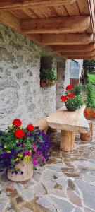 Mas del Mezdì - mountain chalet Val di Rabbi