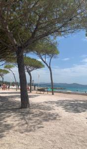 Appartements Spacious 3P with balcony close to the sea : photos des chambres