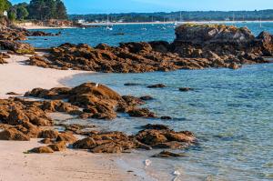 Appart'hotels Residence Goelia Le Domaine des Glenan : photos des chambres