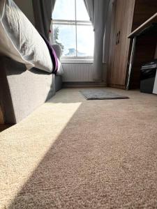 Cosy London Flat near Earls Court