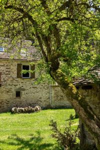 Le Moulin de Graunès