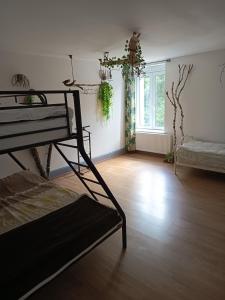 Maisons d'hotes l-Adapte : Chambre Familiale avec Salle de Bains Commune